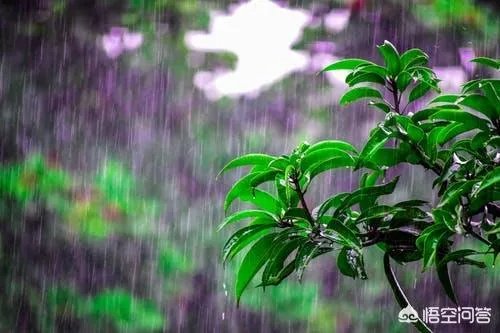 阴雨天如何拍出好照片?