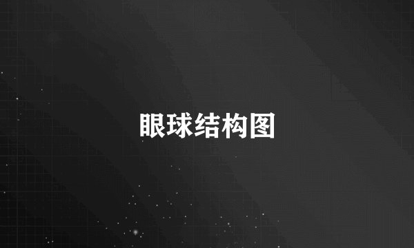 眼球结构图