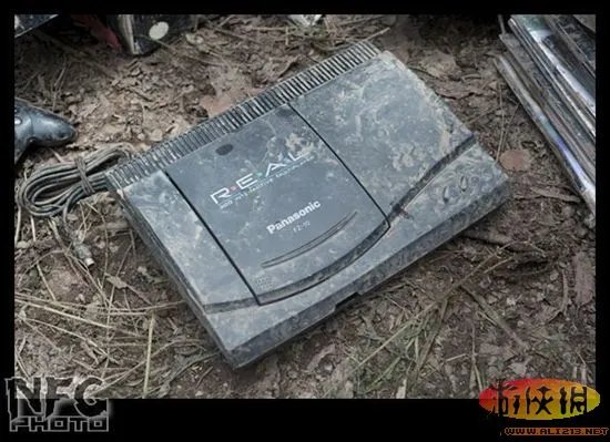 百年洪水来袭 澳洲玩家藏品惨遭洪水蹂躏(图)