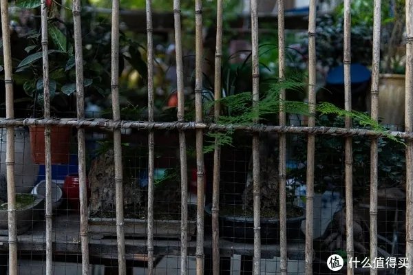 a6400开箱与三天使用体验 「多图预警!」