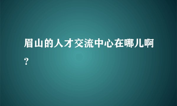 眉山的人才交流中心在哪儿啊？