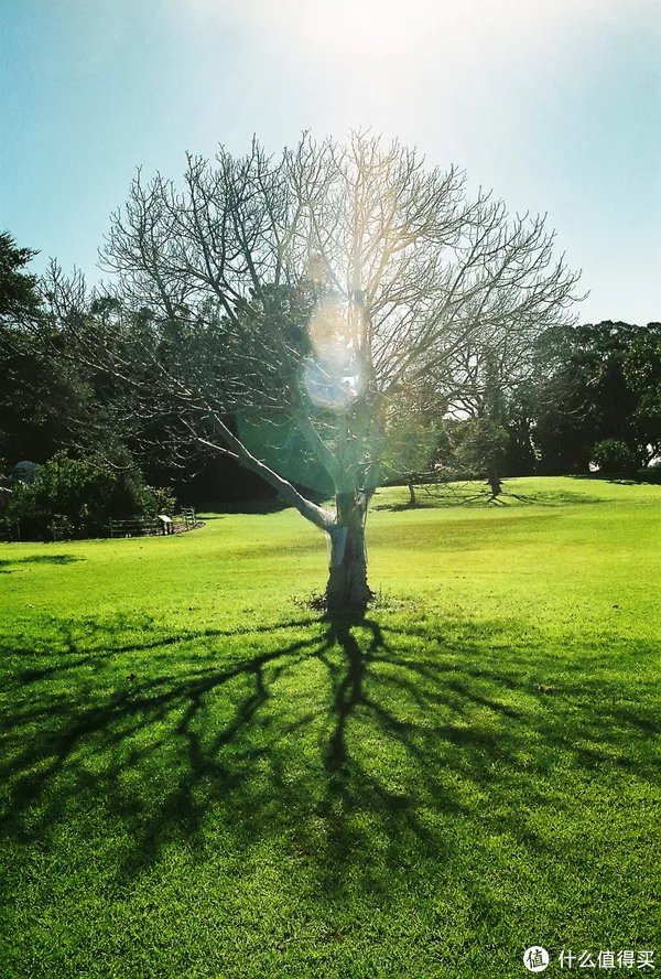 Contax G1 胶片相机:记录旅途的点点滴滴