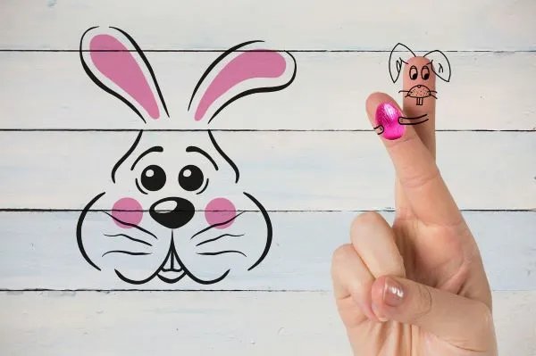 2011年是什么年 2011年的属什么生肖