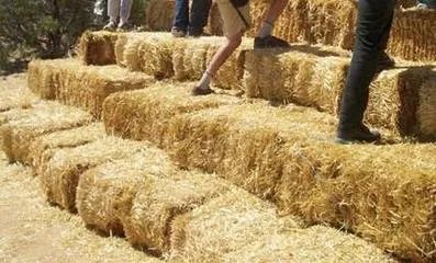 玉米芯有什么用途?