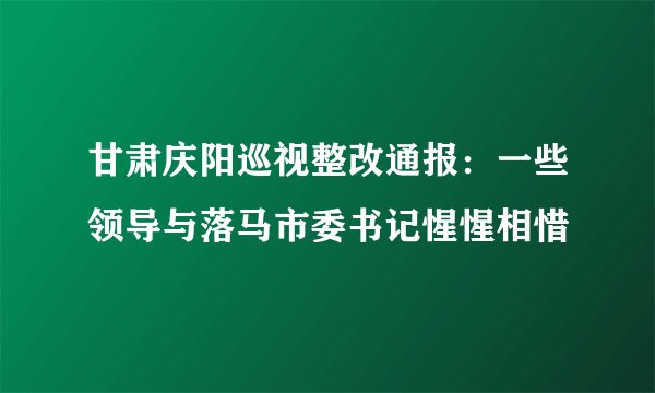 甘肃庆阳巡视整改通报：一些领导与落马市委书记惺惺相惜
