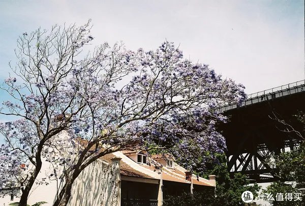 Contax G1 胶片相机:记录旅途的点点滴滴