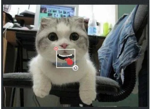 手机上怎么处理图片，就是可以把一张照片弄成搞笑的？