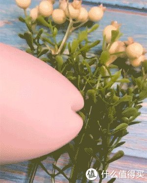 正视自己的需求！iroha 不羁夜&雏樱 对比评测