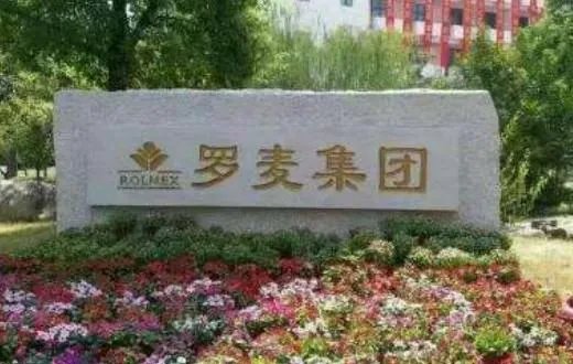 罗麦是一个怎样的公司？