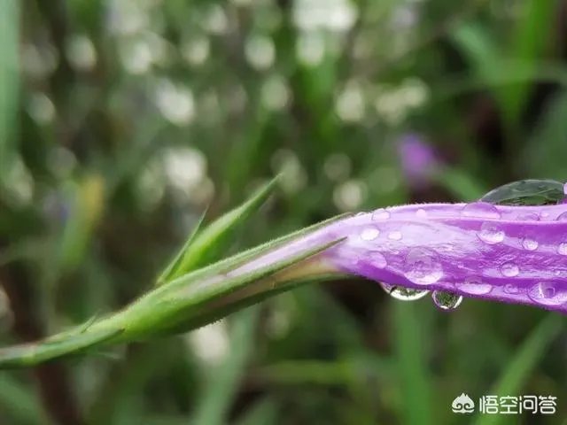 阴雨天如何拍出好照片?