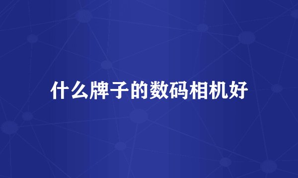 什么牌子的数码相机好
