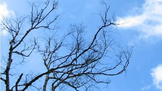 90后暴打老人事件的人物身份