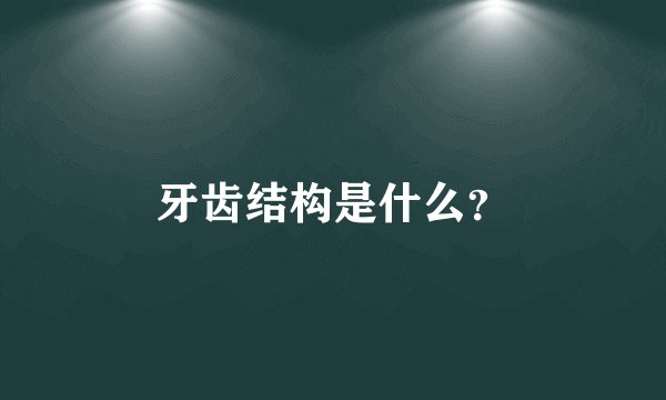 牙齿结构是什么？