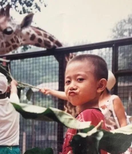 明星的童年照在综艺节目上被曝出，这都有哪些明星的童年照？