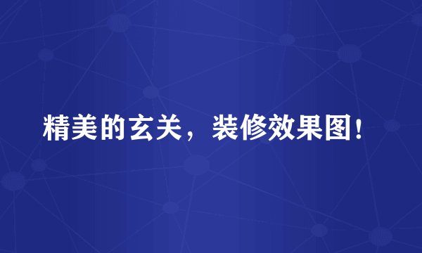 精美的玄关，装修效果图！