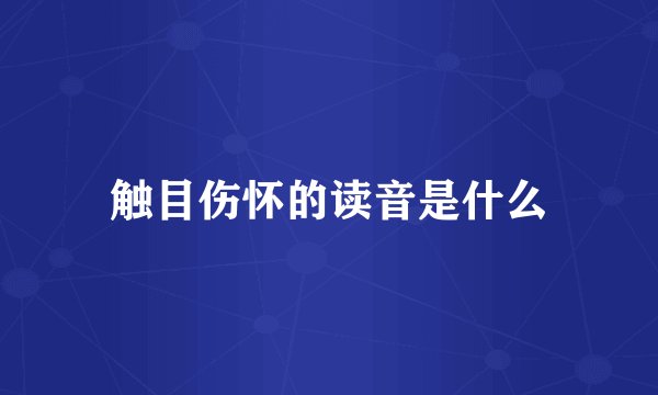 触目伤怀的读音是什么