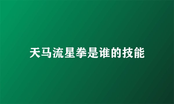 天马流星拳是谁的技能