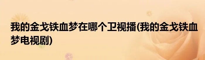 我的金戈铁血梦在哪个卫视播(我的金戈铁血梦电视剧)