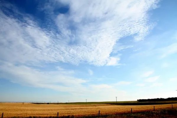 大丈夫不得出头（打一字） – 猜谜语