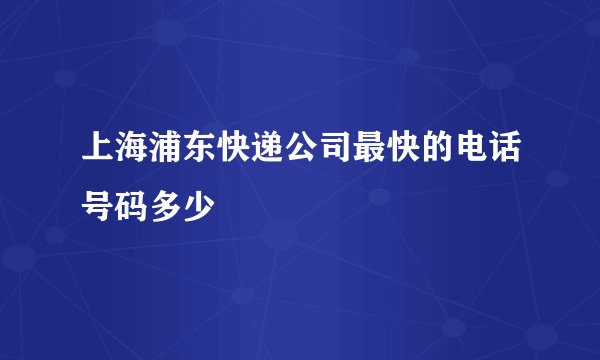 上海浦东快递公司最快的电话号码多少