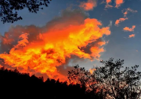 福建漳浦突发山火，引发山火的原因是什么？