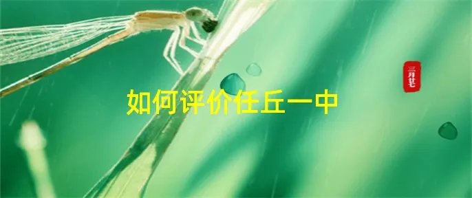 如何评价任丘一中