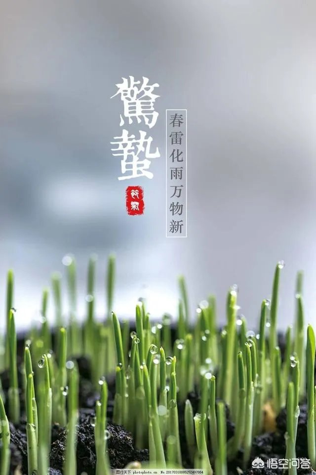 惊蛰是什么意思?