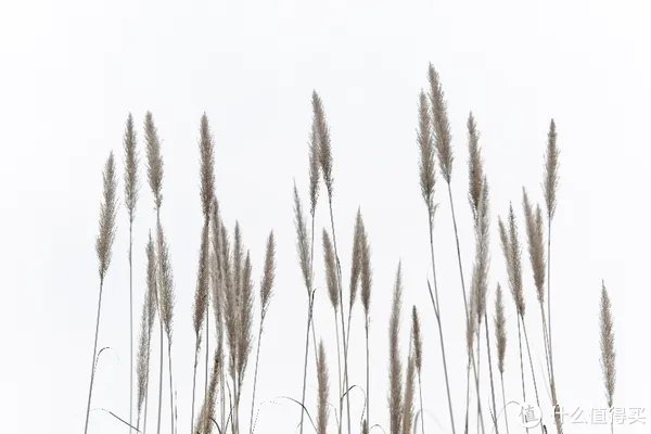 a6400开箱与三天使用体验 「多图预警!」