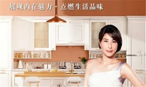 2018整体橱柜加盟品牌排行 整体橱柜哪个牌子好