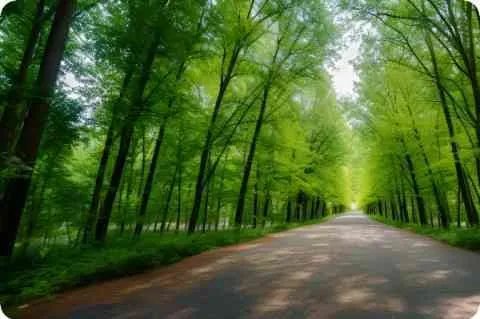 经费支出包括哪些