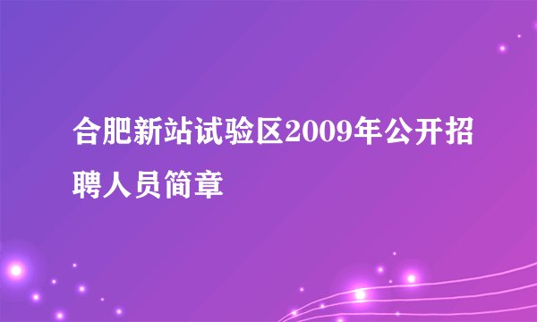 合肥新站试验区2009年公开招聘人员简章