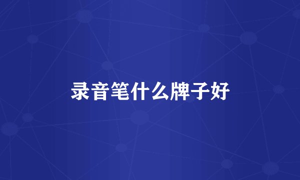 录音笔什么牌子好