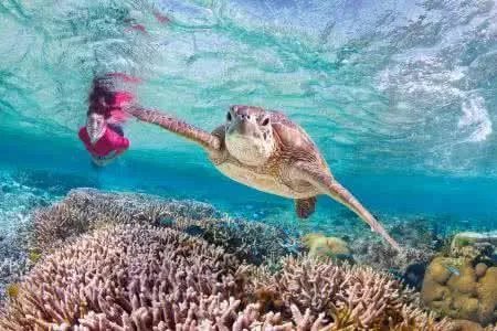 老汉菜地捡到大龟是怎么回事？