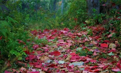 求许昌旅游景点大全排名，哪些比较值得去？