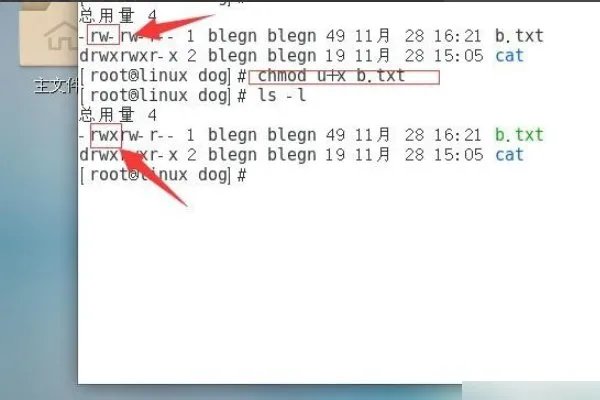 CHMOD命令怎么用？