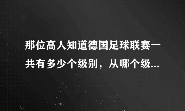 那位高人知道德国足球联赛一共有多少个级别，从哪个级别开始是业余的，德丁下面的联赛是怎么个状况，分组