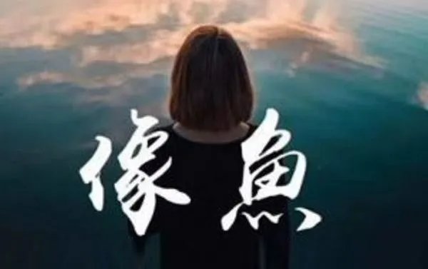 在哪里可以找到《像鱼》吉他谱?