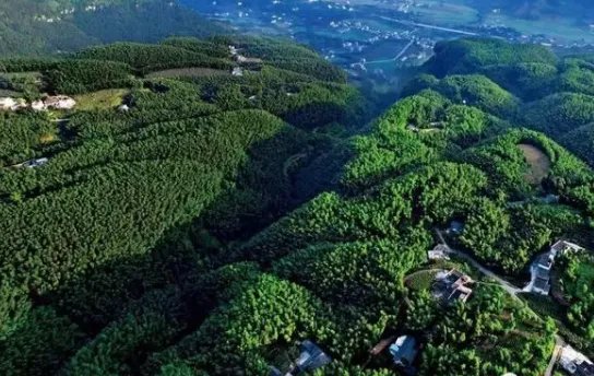 四川宜宾是不是地震带