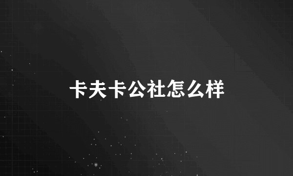 卡夫卡公社怎么样