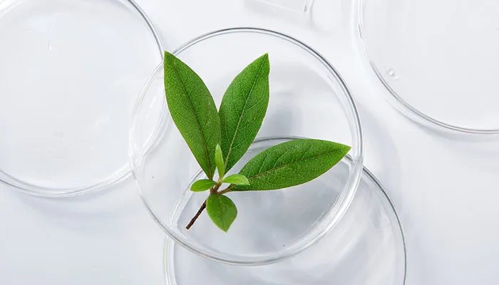 有机玻璃是什么 有机玻璃是什么材料