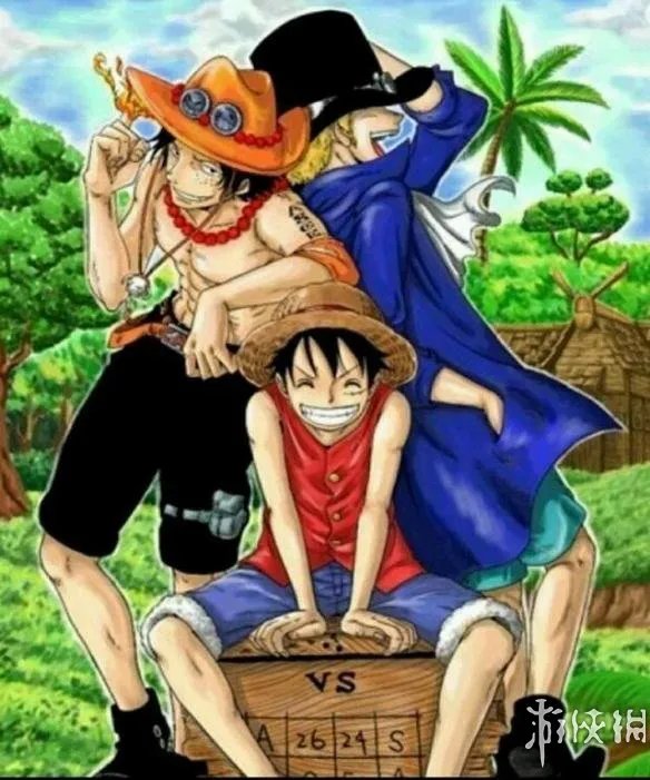 《海贼王》中你没注意的细节:罗宾酱从来不戴胸罩!