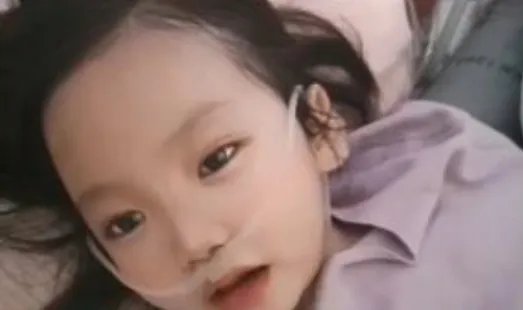 6岁女孩去世捐器官救5人，哪些器官是现在社会急需的？