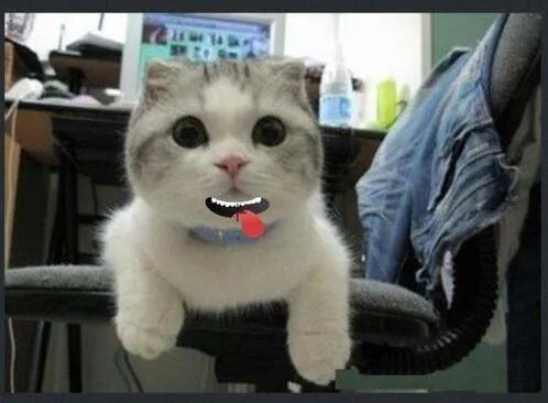 手机上怎么处理图片，就是可以把一张照片弄成搞笑的？