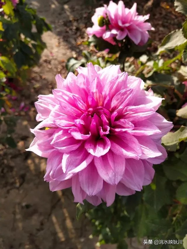 你们怎么看待疫情下的中高考?