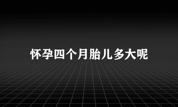 怀孕四个月胎儿多大呢