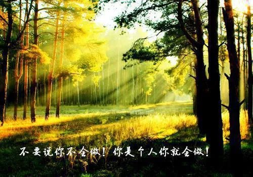 兔和猫夏晚枝小说(夏晚枝傅霁清)全文免费阅读_兔和猫夏晚枝全文阅读