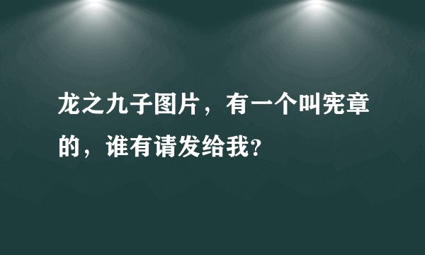 龙之九子图片，有一个叫宪章的，谁有请发给我？