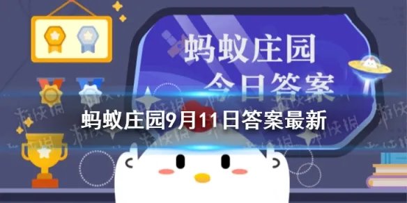 蚂蚁庄园运动场 运动场为什么是南北向的