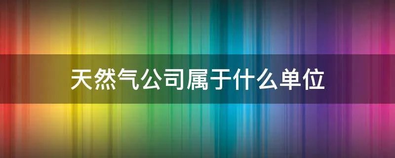 天然气公司属于什么单位