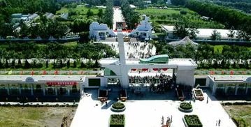 日本景点遭汉字涂鸦，我们应如何爱护旅游景点？